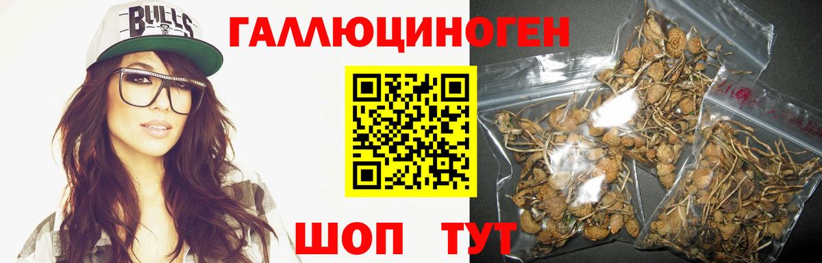 Галлюциногенные грибы прущие грибы  Вход с VPN  наркота  Малоярославец 
