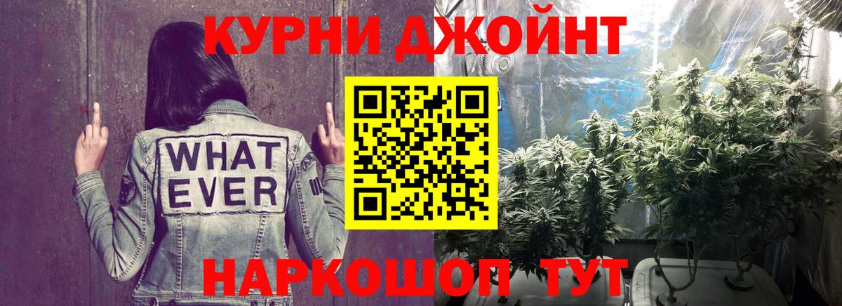 Каннабис сатива Малоярославец